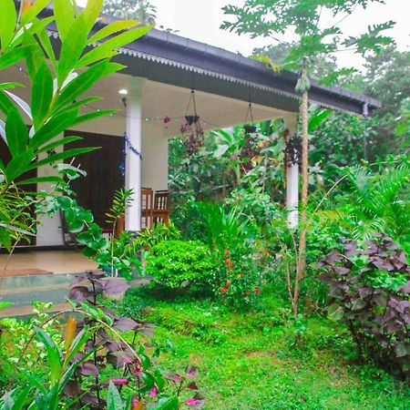 Sigiriya Mana B&B Exterior foto