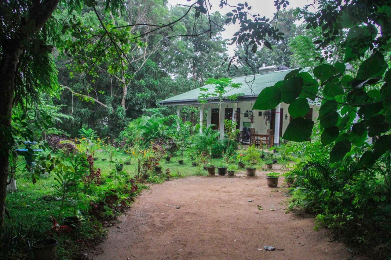 Sigiriya Mana B&B Exterior foto