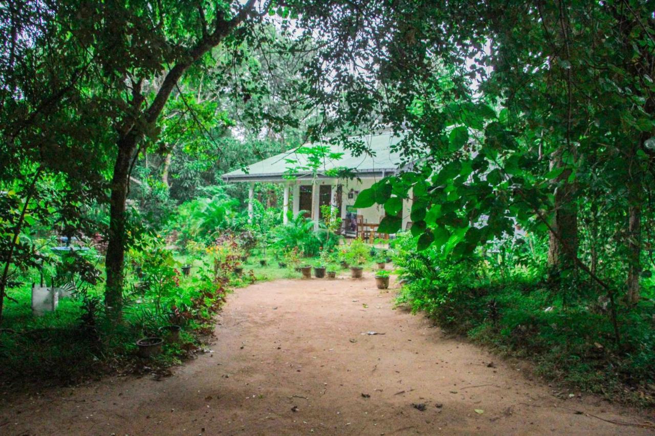 Sigiriya Mana B&B Exterior foto