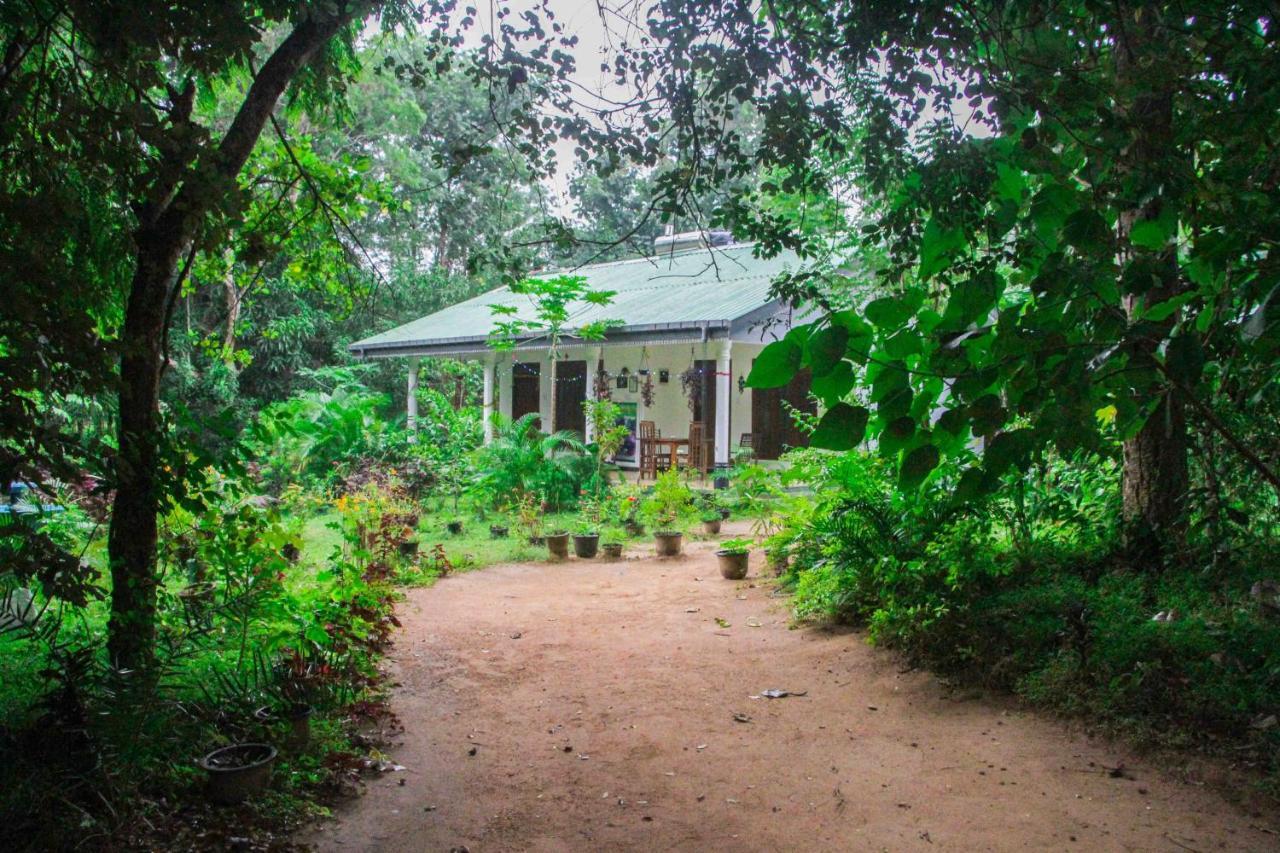Sigiriya Mana B&B Exterior foto