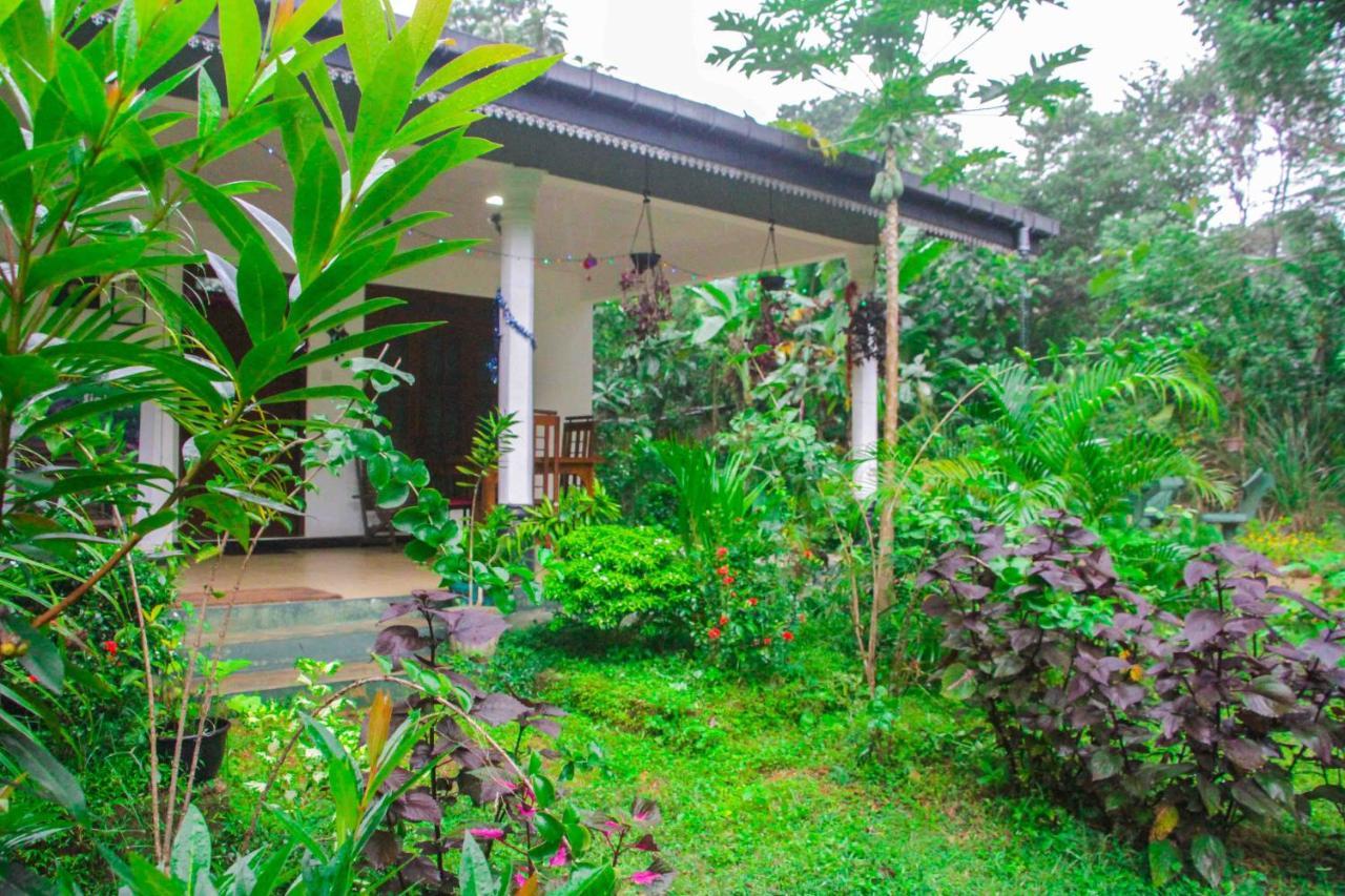 Sigiriya Mana B&B Exterior foto